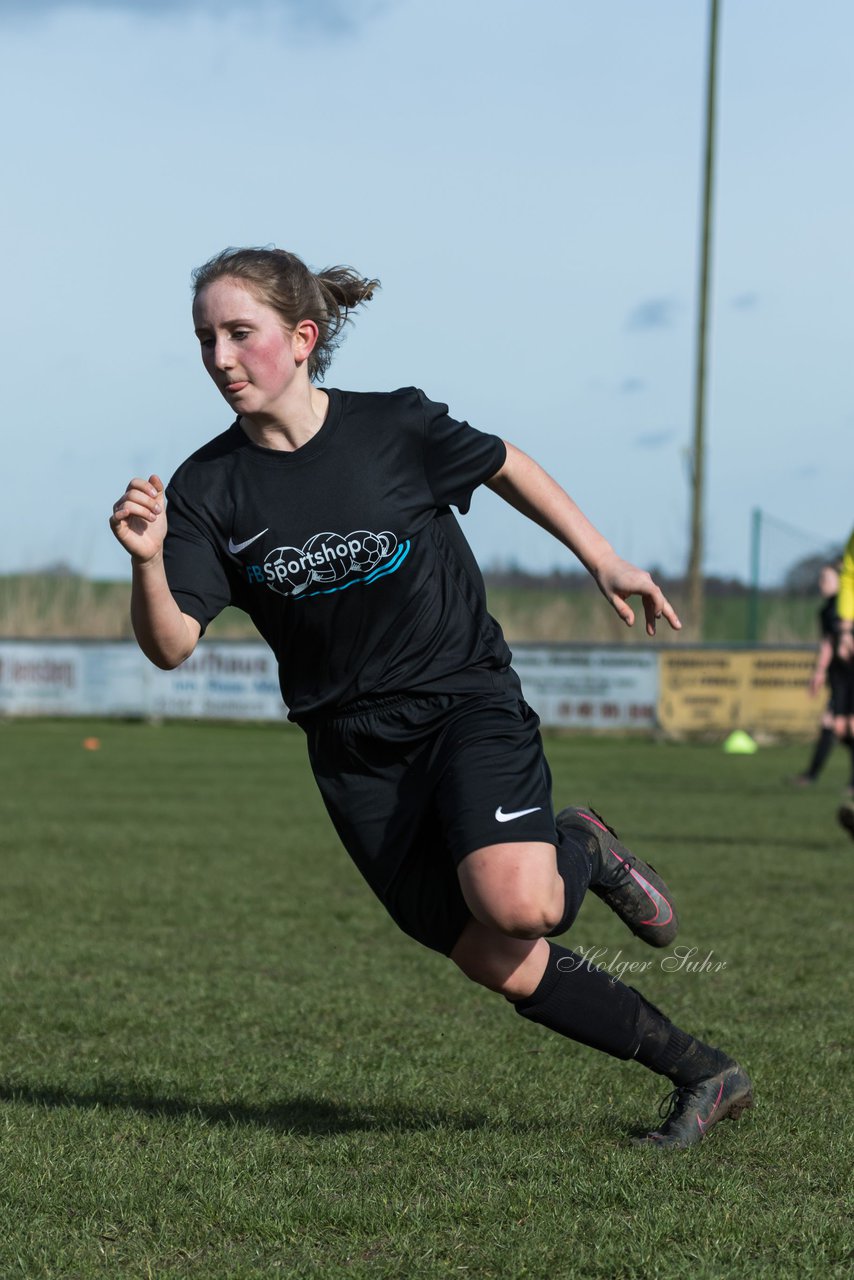 Bild 198 - C-Juniorinnen SV Steinhorst/Labenz - TSV Friedrichsberg-Busdorf : Ergebnis: 5:0